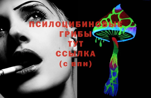 амф Аркадак