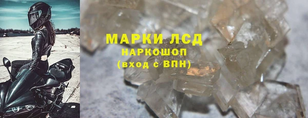 СК Арсеньев